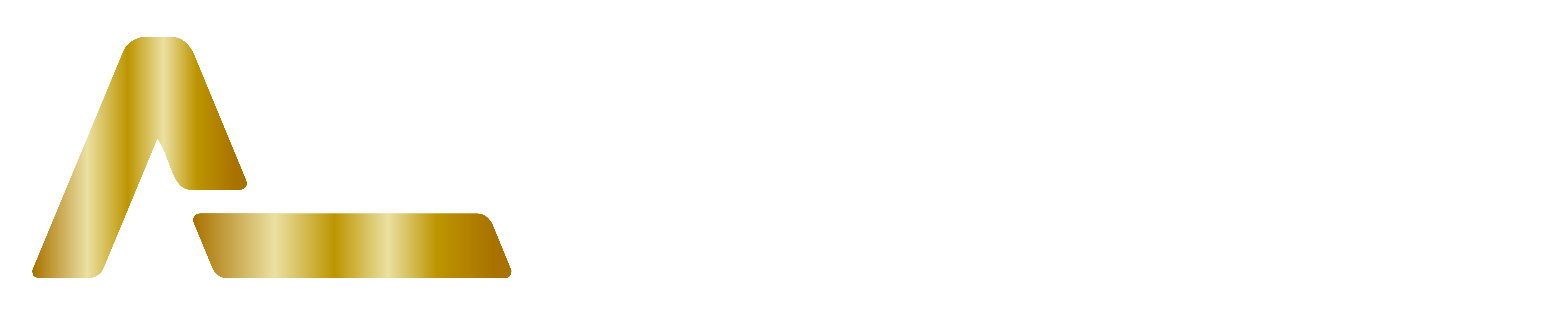 ATLAS EXECUTIVE